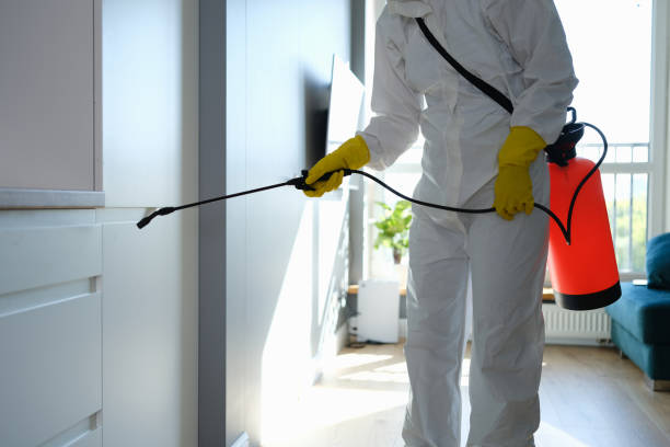 Best Toxic Mold Removal  in Port Monmouth, NJ